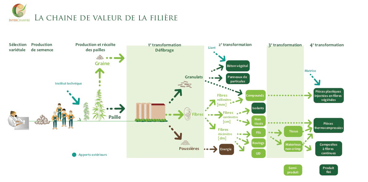 La chaîne de valeur de la filière